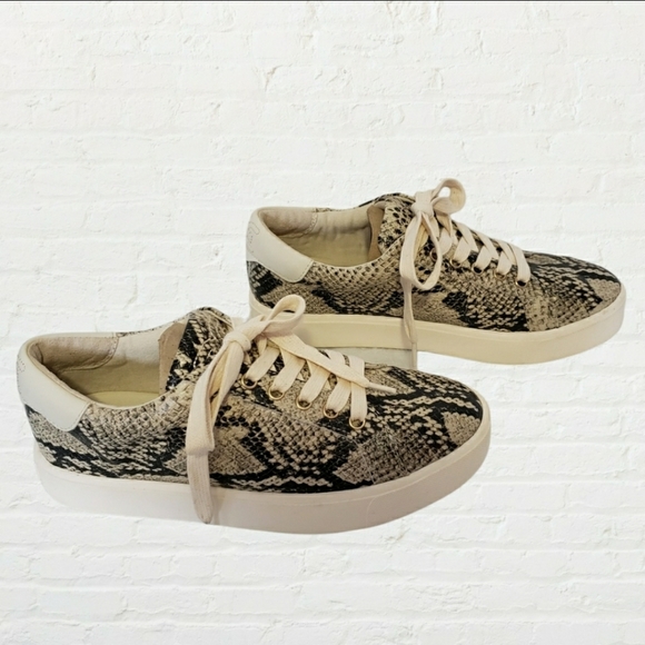 Sam Edelman snakeskin Ethyl platform sneakers size 6.5 - Picture 11 of 11